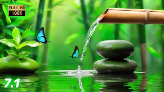 Relaxing Piano Music amp Water Sounds 247  Ideal for Stress Relief and Healing  Money Caller [upl. by Lamond]