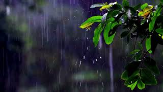 Rain and Thunderstorms with Zen Meditation Deep Relaxation and Sleep Sounds [upl. by Anyek]