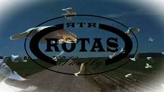 Rotas The Rapper  Waars die UNITY Official Audio [upl. by Rutan]