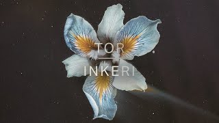 Tor  Inkeri Official Audio [upl. by Kone]