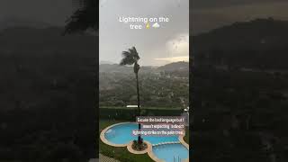 lightning tree atack viralvideo subscribe [upl. by Naryt782]