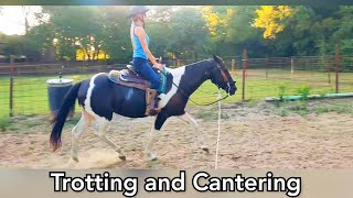 Trotting and Canter lesson  Western Horsemanship adult beginner [upl. by Beauchamp]