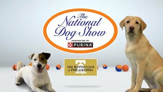 2024 National Dog Show Opening [upl. by Boff170]