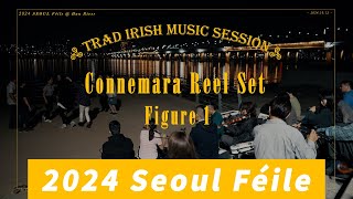 Irish Trad music and Ceili Dance in Korea  여의도 한강공원 버스킹 아일랜드 음악과 춤 [upl. by Harriman]