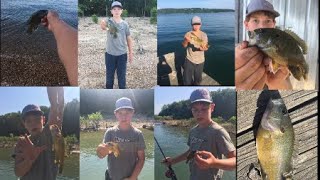 Catching warmouth in Eureka springs Arkansas beaver Lake [upl. by Nonregla854]