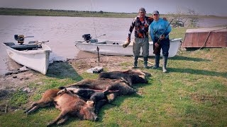 CACERÍA de CHANCHOS en PIRAGUON y a CABALLO 🐎 🐗 [upl. by Atiekan]