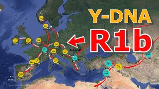 How did the YDNA Haplogroup R1b become EuropeanHuman Migration [upl. by Dobb]