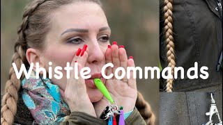 Dog whistle commands [upl. by Chap]