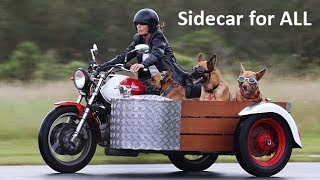 Motorcycle Sidecar [upl. by Mungovan]