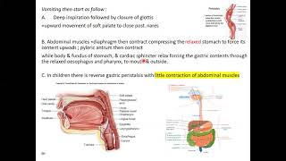 Antiemetics amp prokinetics [upl. by Rosina535]