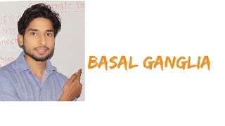 Basal Ganglia in Hindi [upl. by Hafirahs818]