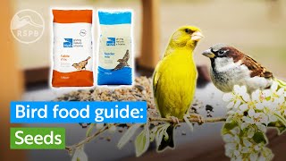 What kinds of seeds should I feed to garden birds  RSPB bird food guide [upl. by Neillij]