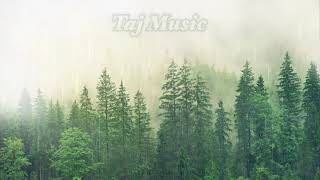 Pashto Ghamgeen Saaz  Flute Saaz  Rain amp Stress Relief copyright free [upl. by Zehcnas]