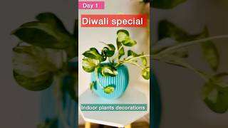 Diwali special decorations using indoor plants 🌱 shortsvideo indoorplants gardening [upl. by Northington]