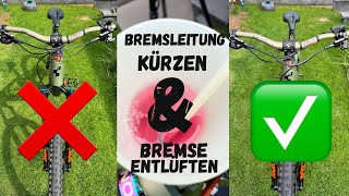 Bremsleitungen am EMTB  MTB kürzen und Bremse entlüften  Schritt für Schritt Anleitung [upl. by Iah]