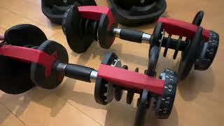 MotionGrey Adjustable Dumbbell Set Weights Dumbbells Home Gym Barbell 10 lb dumbbells pair [upl. by Dexter]