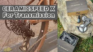 開箱  有X都比較厲害！ CeramicSpeed X大導輪for Transmission [upl. by Linskey]