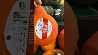 Discover the Rarest Squash Variety Kuri Rouge in Your Produce Area KuriRouge squash shorts [upl. by Saied526]