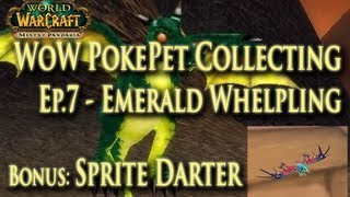 EP7 Wow PetBattle Pet Collecting  How to Get a Emerald Whelpling  Bonus Sprite Darter [upl. by Ereynihc5]