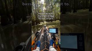 Sorry Bass Boat Owners It’s True 🤷 Fishing BassFishing shorts [upl. by Lledal834]