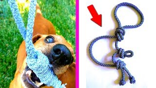 DIY  VERY SIMPLE toy for dogs from the rope  Nika crafts [upl. by Elgar]