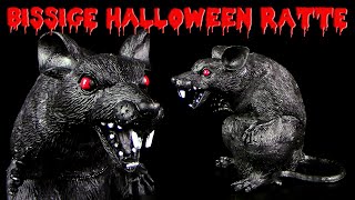 Vorsicht  Riesige bissige Halloween Ratte  Creepy Horror Prop [upl. by Llerrej888]