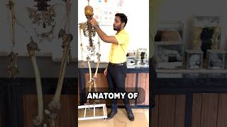 Anatomy of Spine simplified  Part1 [upl. by Dunkin158]