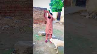 kutam Tata byby funny funnyrespect comedy respectcomedy funnymovent foryoupage [upl. by Bushey]