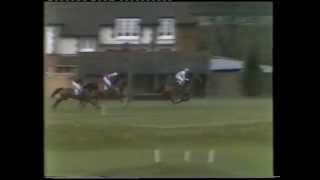 1981 Freshfields Holidays Handicap Chase [upl. by Neraj]