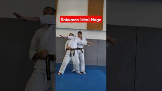 Sokumen Irimi Nage  Nihon Tai Jitsu nihontaijitsu selfdefense [upl. by Renferd]