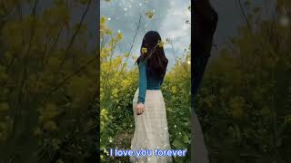 I Love You Forever — The Best Love Song shorts [upl. by Clemente]