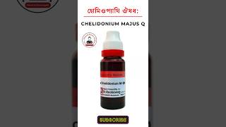 Chelidonium Majus homeopathic medicine চেলিডোনিয়াম হোমিওপ্যাথিক মেডিসিন হোমিও ঔষধ lycopodium 200 [upl. by Percy]