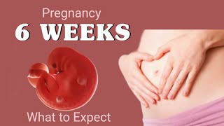 6 week pregnancy baby growthwhat to expect during week 6 of pregnancy6th week of pregnancy [upl. by Nemajneb]