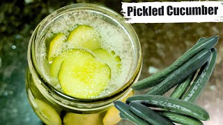 Make Your Probiotic At Home  Fermented Cucumber  Pickled Cucumber Recipe [upl. by Nnaik158]