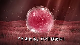 『うまれる ～いのちの授業～』教材DVDサンプル（あなたがうまれた物語） [upl. by Ginnifer]