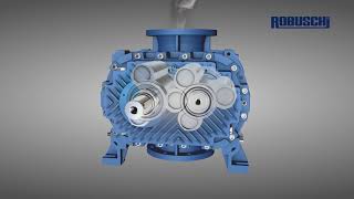 RBS – Rotary Lobe Blower 2023 [upl. by Sharman]