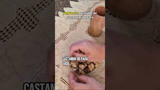 Antepasto de berinjela viral shorts short shortvideo food recipe shortsvideos recipes [upl. by Eelegna64]