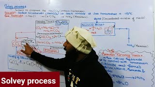 Industrial Chemistry  කර්මාන්ත රසායනය  Lesson 05  Sodium Carbonate Production  Na2CO3 නිෂ්පාදනය [upl. by Ellehcram330]