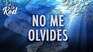 Pablo Olivares  No Me Olvides Video Lyric [upl. by Atolrac593]