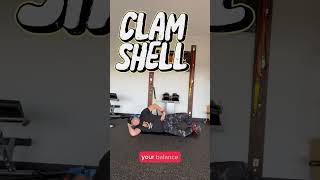 Improve Hip Mobility Clam Shells  Multiple Sclerosis Exercise [upl. by Lizbeth283]