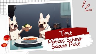 🐺 Pâtées quot Salade Poké quot  Schesir  TEST [upl. by Burty]