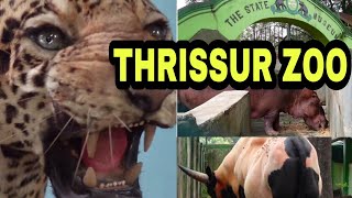 Thrissur Zoo 2022  2nd Largest amp Oldest Zoo in Kerala  Must Watch  Rennys Dream World [upl. by Raynold]