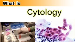 What is Cytology   Clear amp Complete Overview [upl. by Esinaj987]