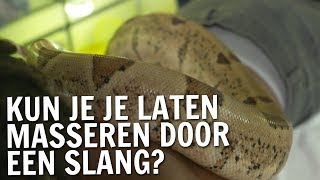 Kun je je laten masseren door een slang  De Buitendienst over beauty [upl. by Neruat]