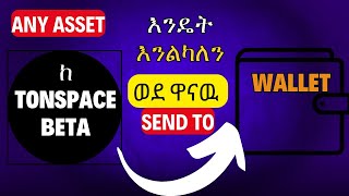 How to transfer asset from Ton space beta to main wallet in Telegram  ከton space ወደ ዋናዉ የቴሌግራም ዋሌት [upl. by Gadmon]