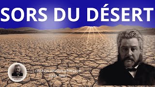 CHARLES H SPURGEON  VAINCRE LA TRISTESSE – Un Message d’Espoir [upl. by Eesdnyl]