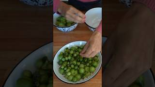 Conserva de TOMATES VERDES agridulce [upl. by Amorete541]