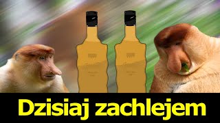 Janusz  Dzisiaj zachlejem Parodia Dzisiaj w Betlejem [upl. by Donall668]