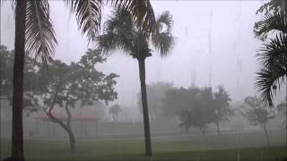 Miami little Amazon Monsoon Loud Lightning with Kitty [upl. by Anwahsed8]