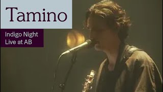 Tamino  Indigo Night Live at AB  Ancienne Belgique [upl. by Garaway]